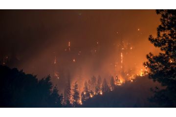 Incendi Boschivi