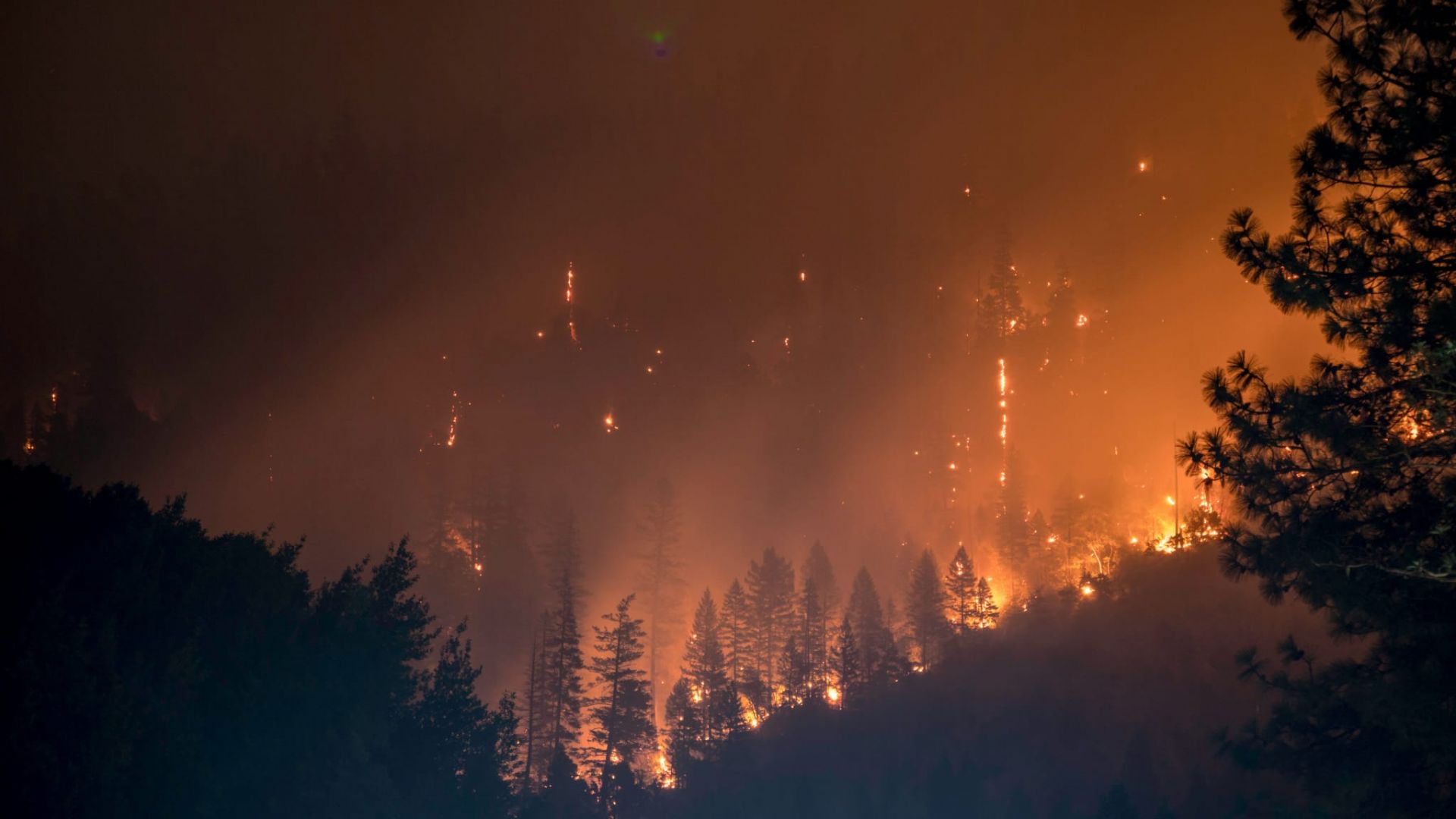 Incendi Boschivi