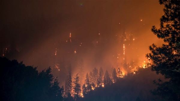 Incendi Boschivi